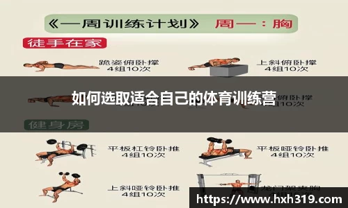 球速体育平台登录入口
